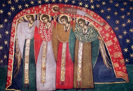Sučevica - myronosice
